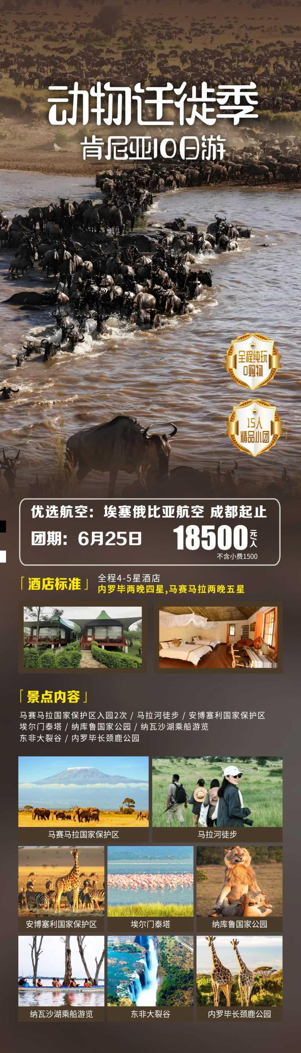 海报已过期