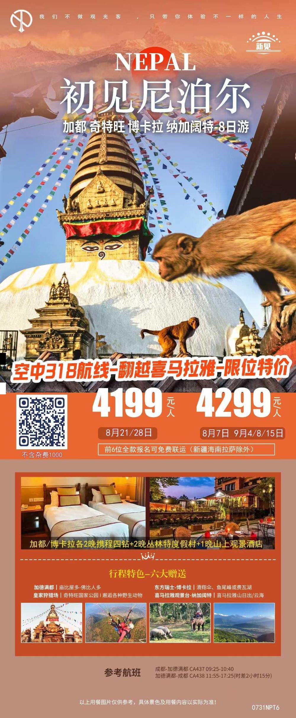 海报已过期