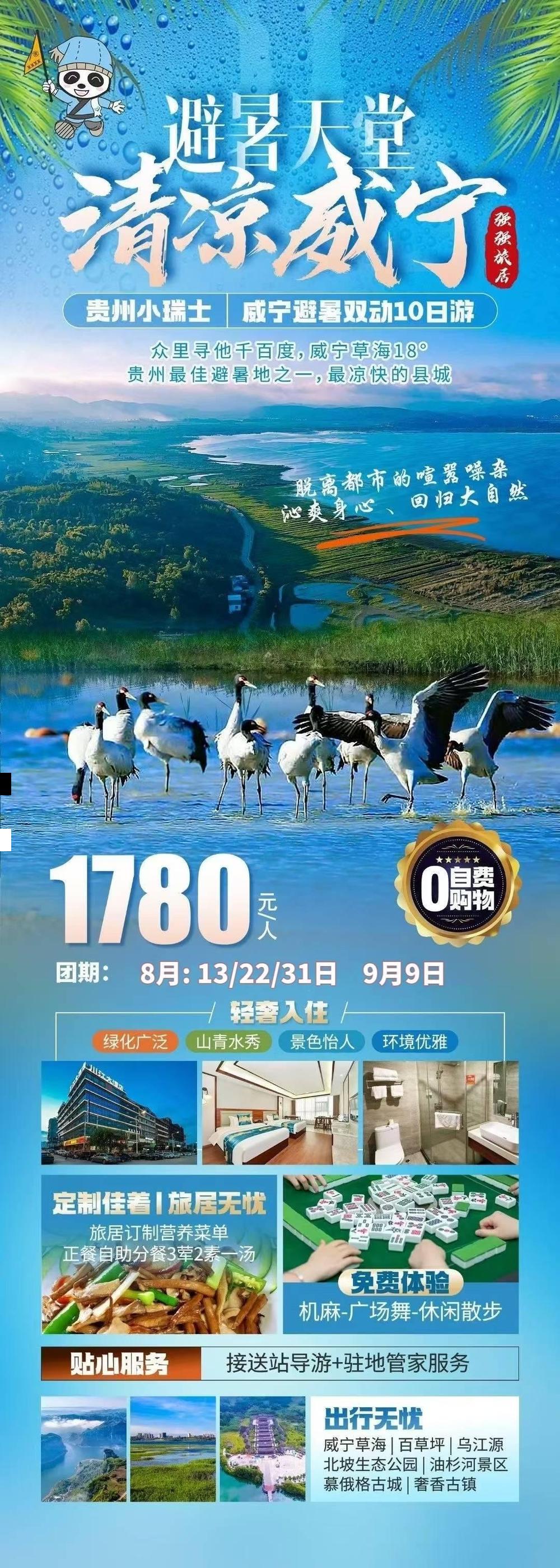 海报已过期