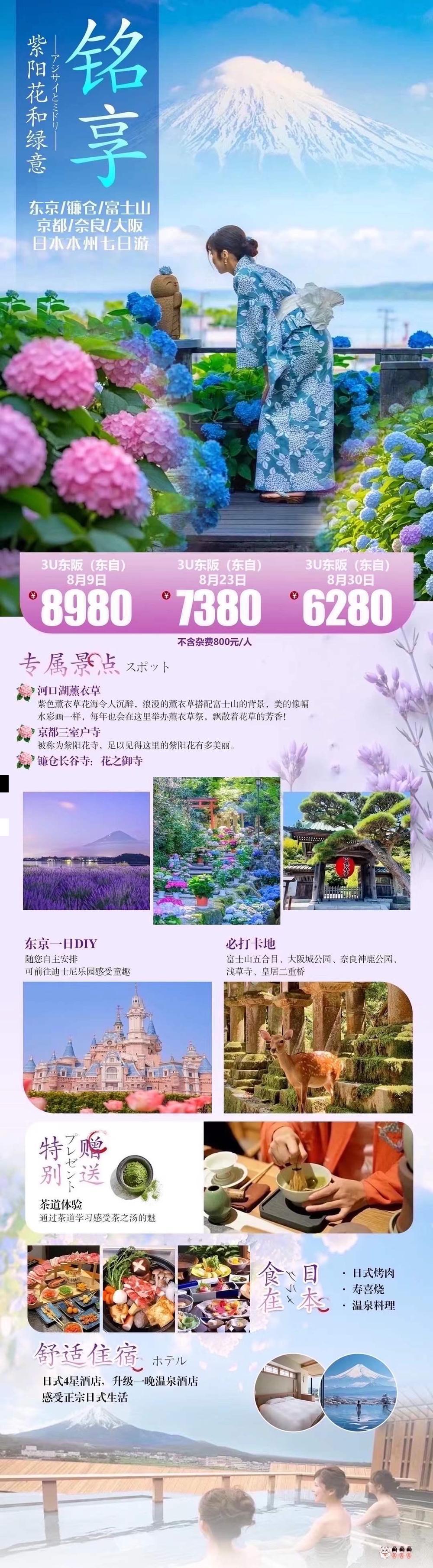 海报已过期