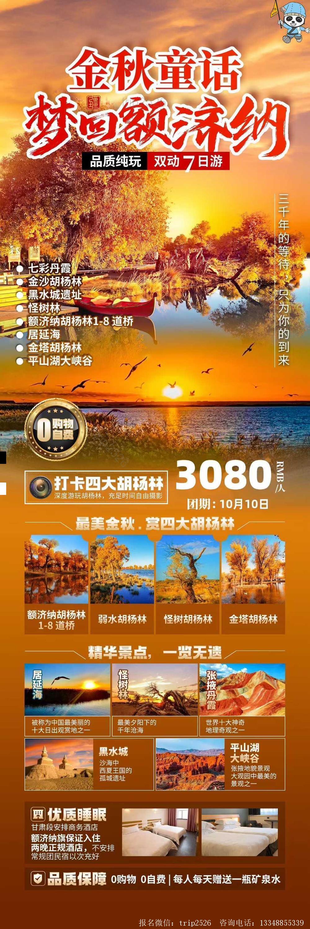 海报已过期