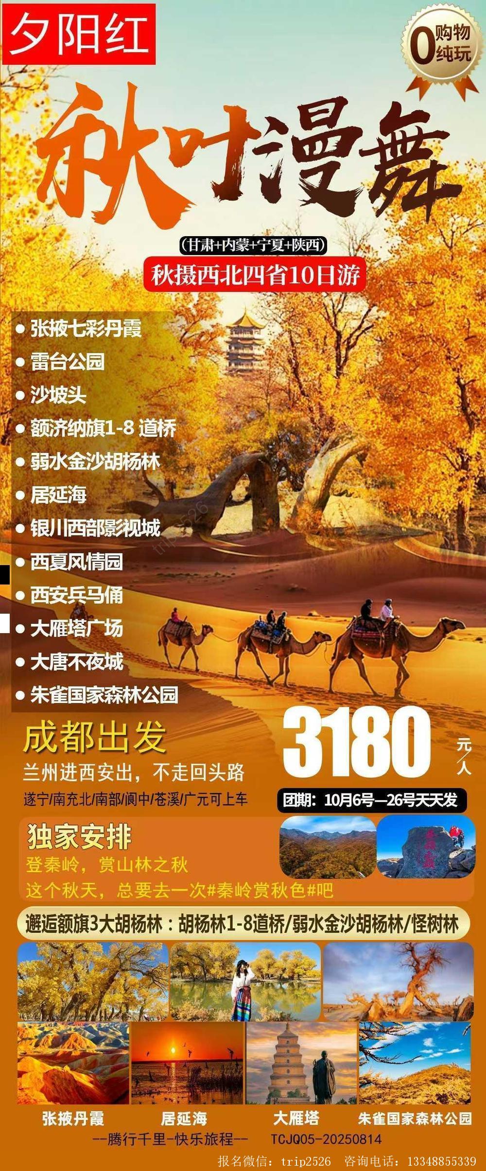 海报已过期