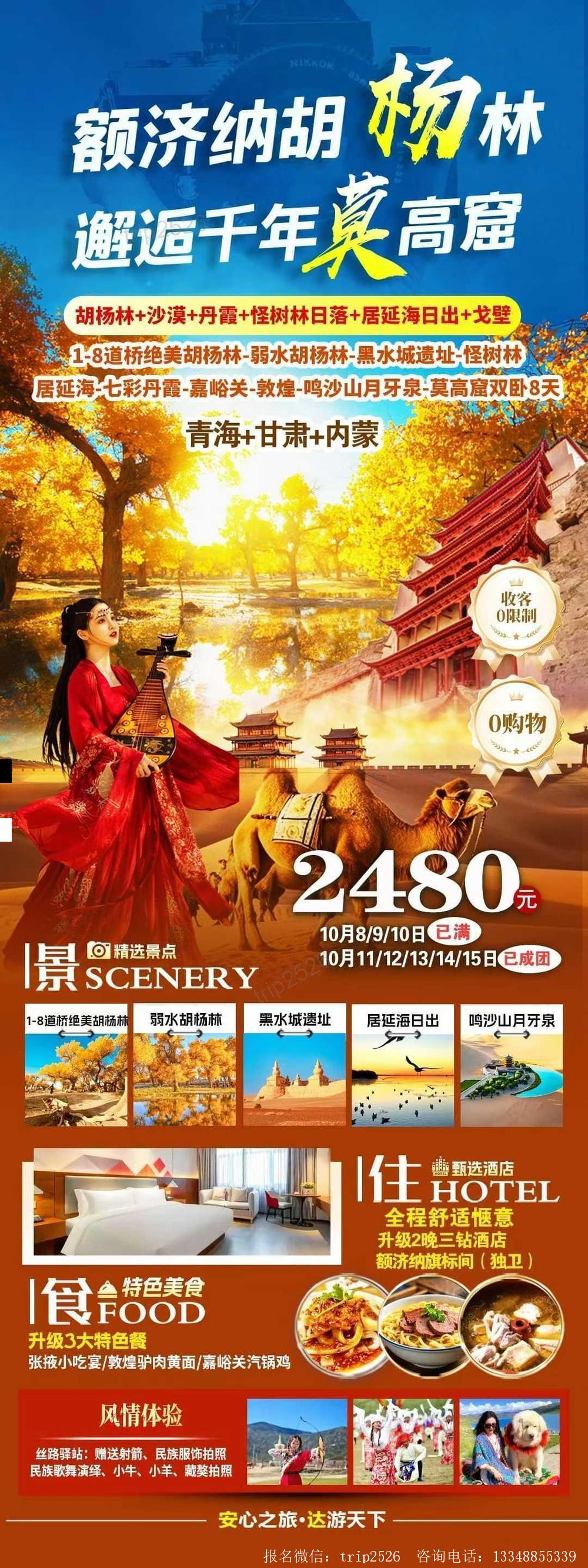 海报已过期