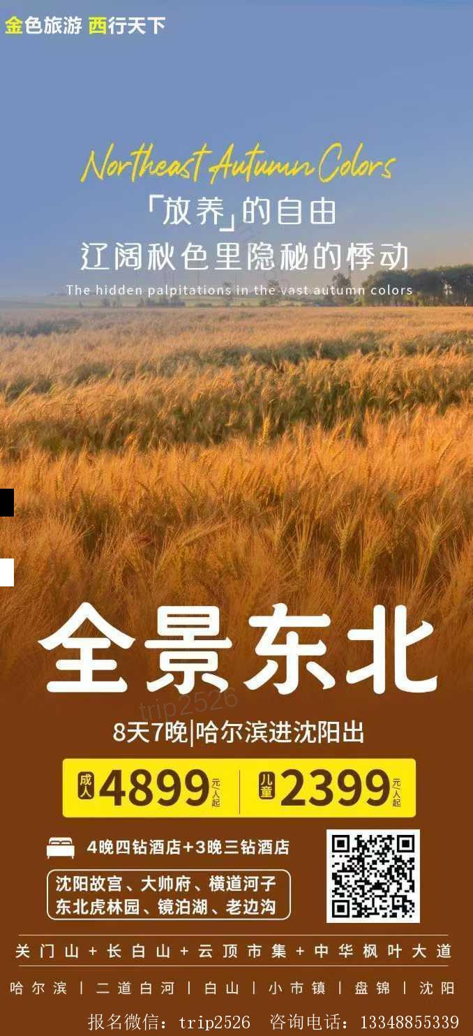 海报已过期