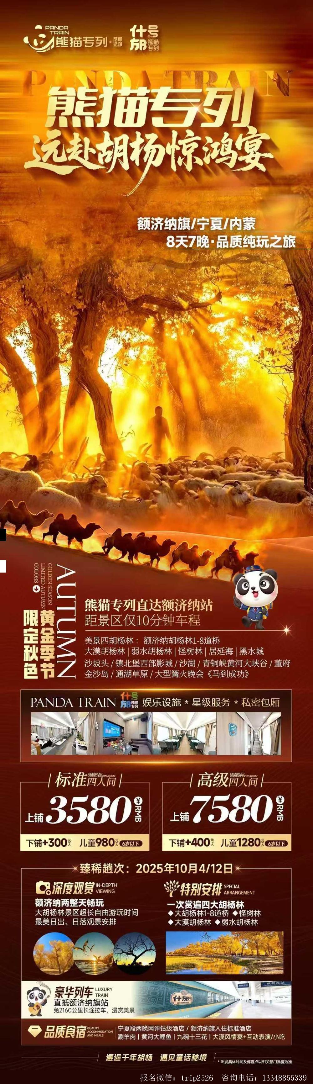 海报已过期