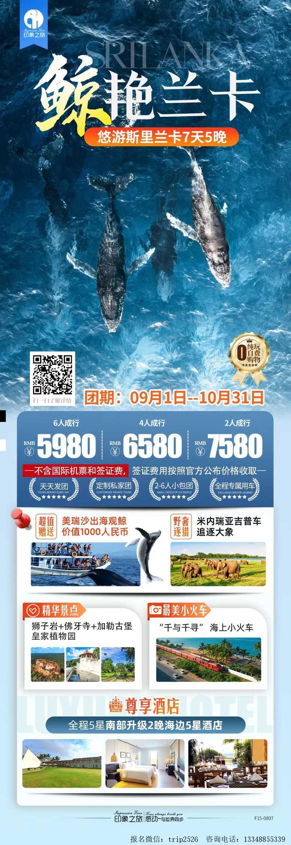 海报已过期