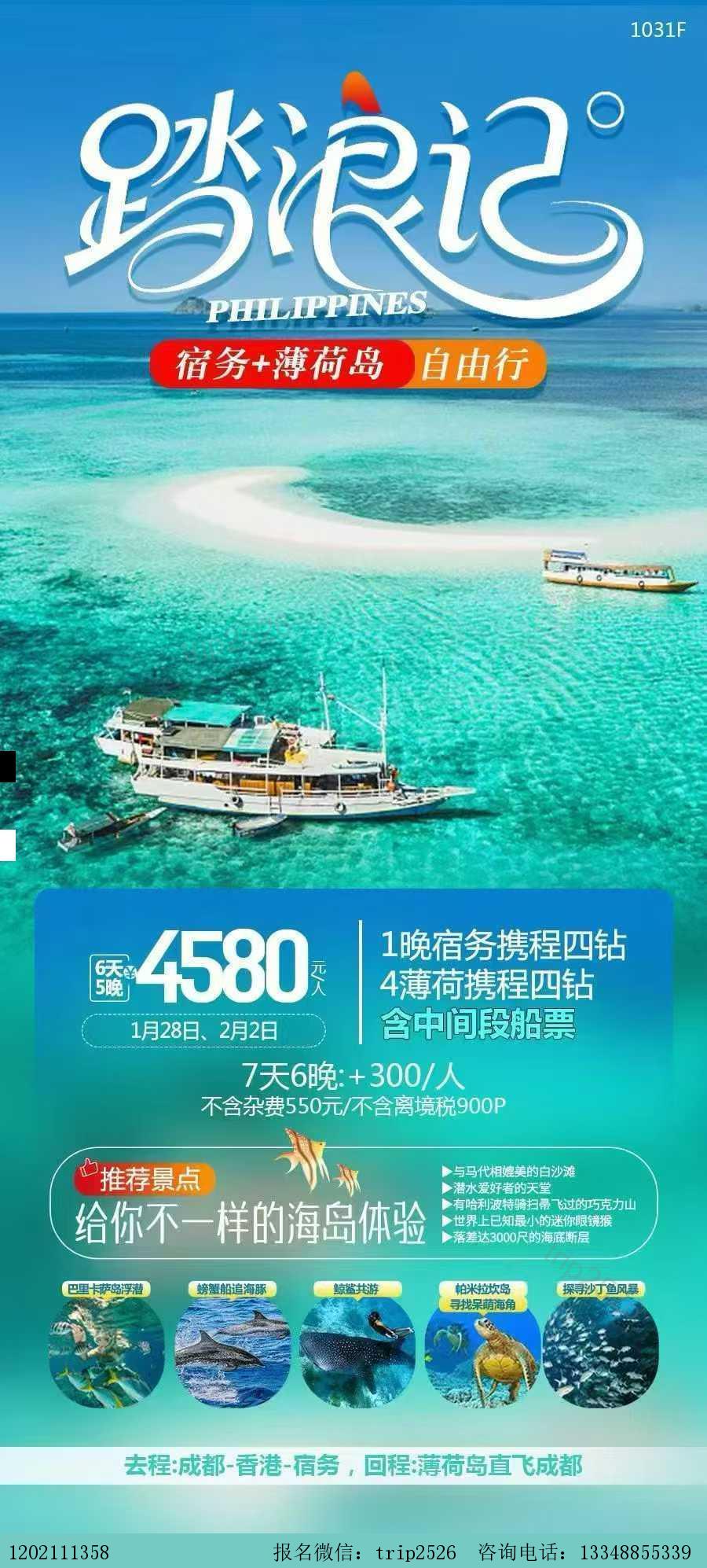 海报已过期