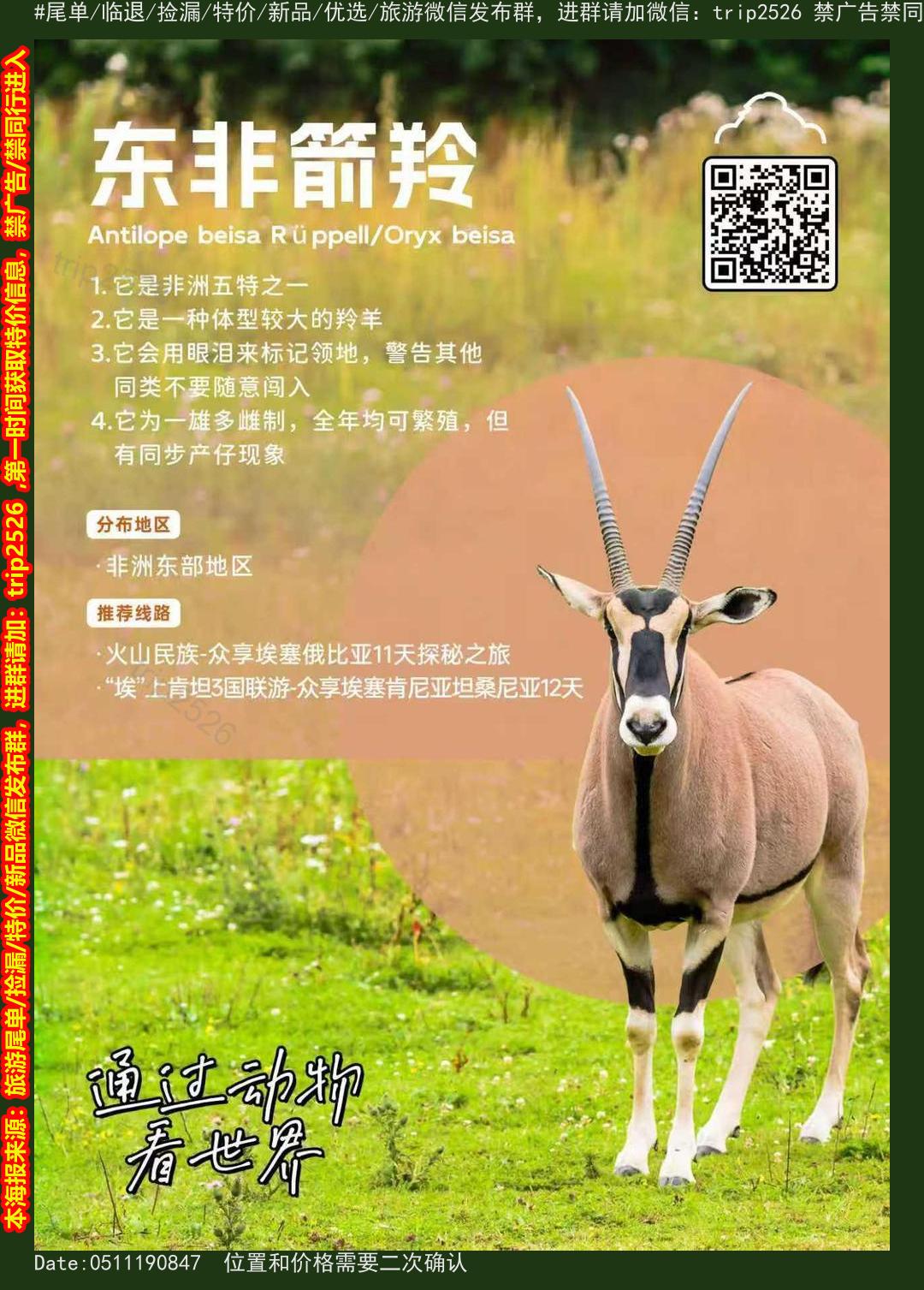 海报已过期